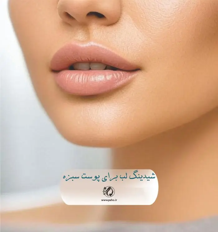 شیدینگ لب برای پوست سبزه