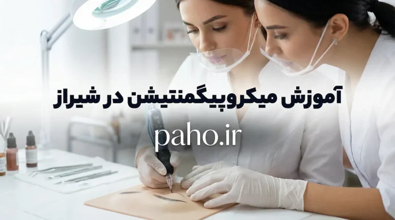 آموزش میکوپیگمنتیشن در شیراز
